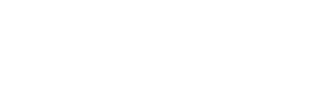 Website development for the bonus program MZ5